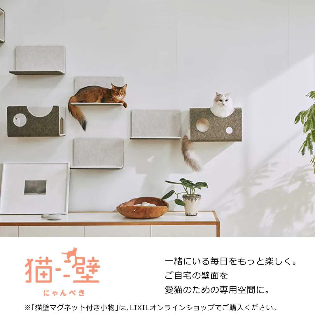 ペットと暮らす、もっと楽しく過ごすためのリフォームを。